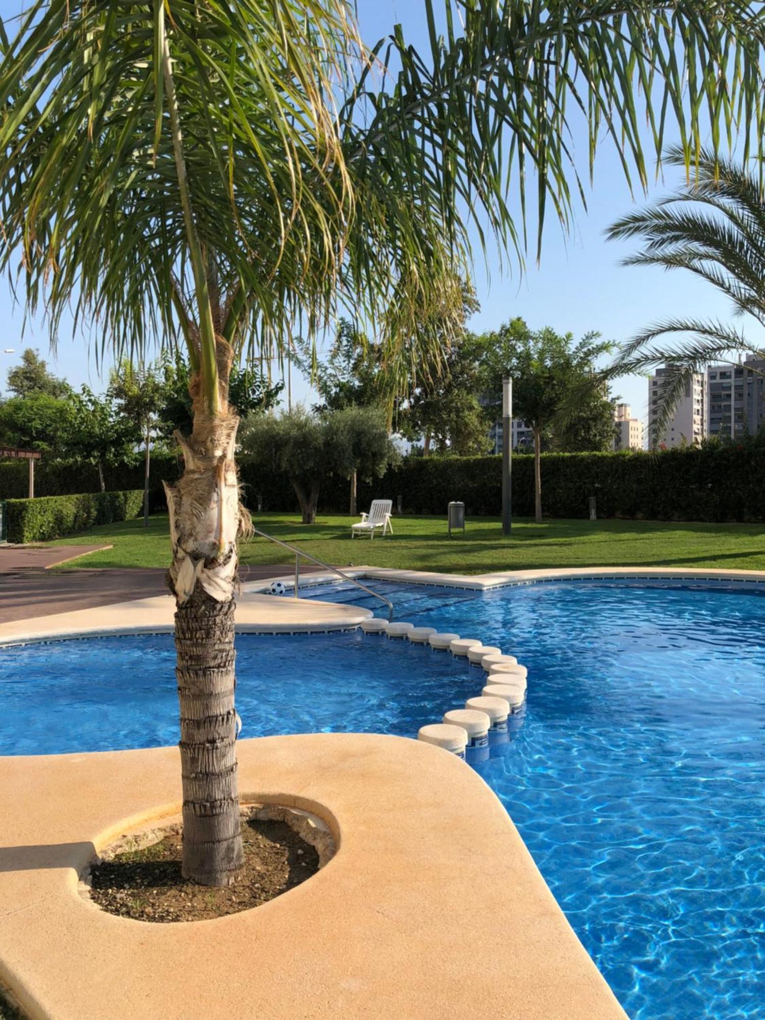 New Apartment In San Juan Playa, Alicante Pau5 Esterno foto